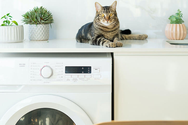 Beste wasmachine kopen